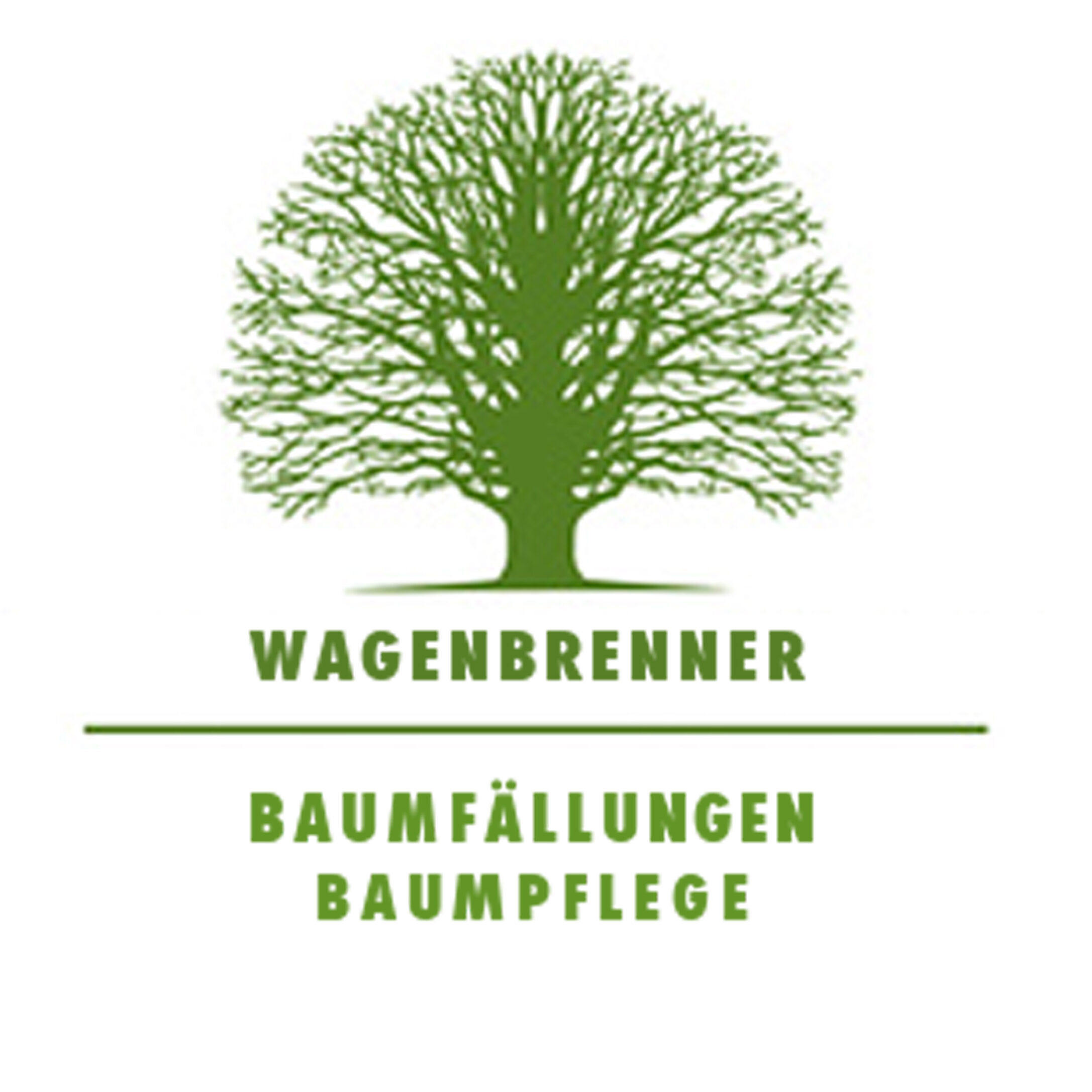 Baumpflege Wagenbrenner